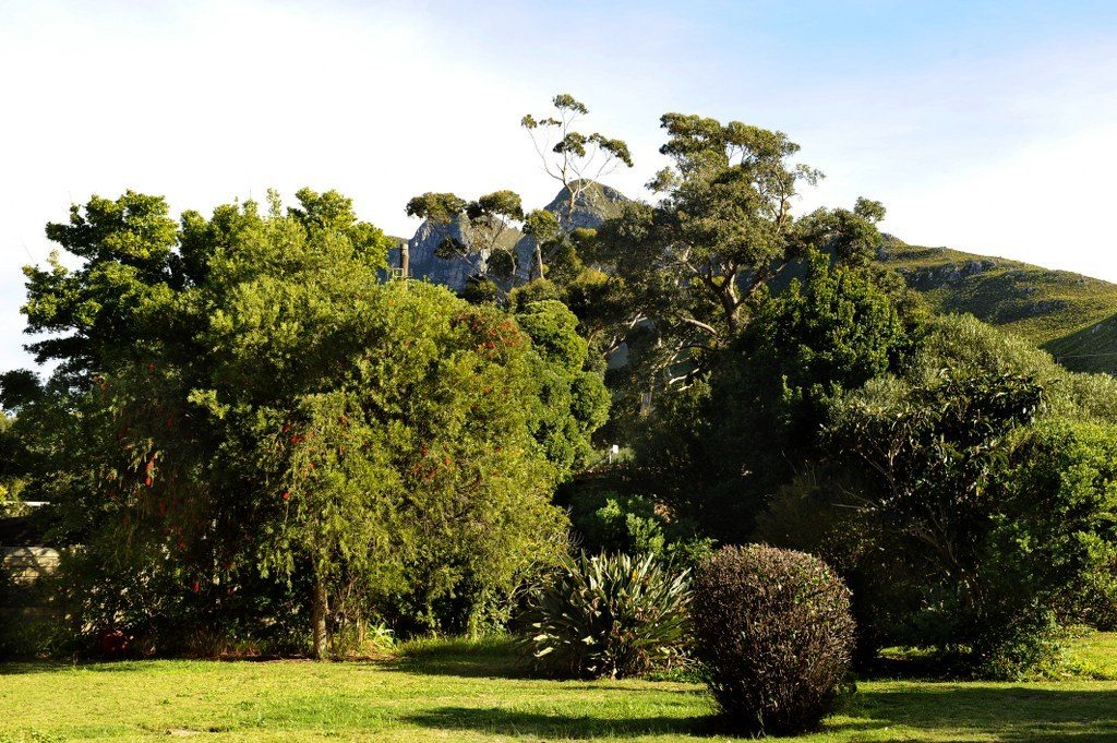 Lush gardens at Millionaire's Mile